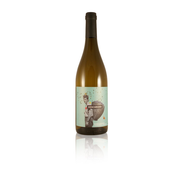 Bodegas Nodus DESCARADO Blanco Weißwein histamingeprüft Spanien