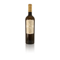 Bodegas Nodus Sauvignon Blanc Weißwein histamingeprüft Spanien