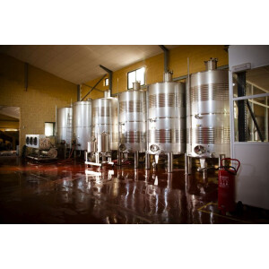Bodegas Nodus Chardonnay Weißwein histamingeprüft (unter 0,1 mg/l) Spanien