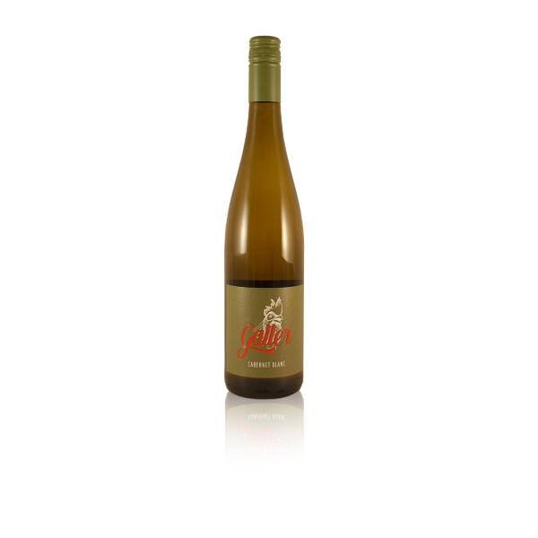 Galler Cabernet Blanc trocken Weißwein histamingeprüft QbA Pfalz