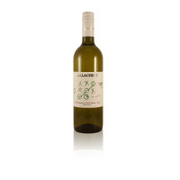 Allacher Chardonnay/Pinot Blanc HALBTROCKEN Burgenland histamingeprüft (unter 0,1mg/L)